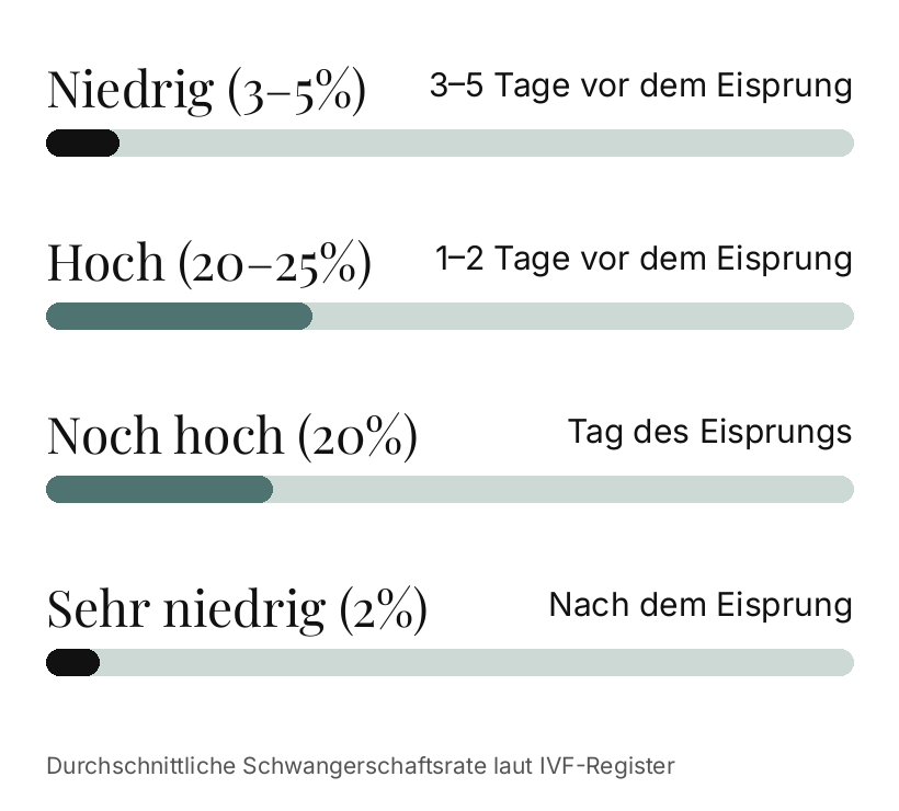 Chart Timing der Schwangerschaft.
